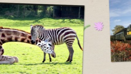 Summer Activities For Kids