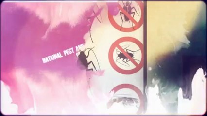 National Pest and Exterminators Supplies (718) 804-7055