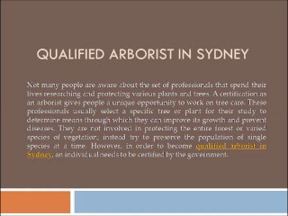 How to Prevent Your Trees from Diseases in Sydney