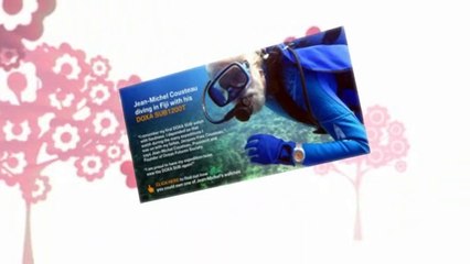 Affordable Dive Watches