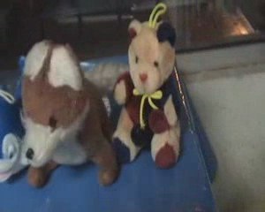 défilé de peluches