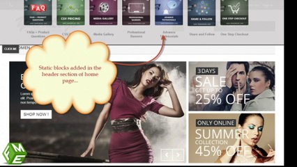 PrestaShop Static Blocks Module by FMEModules