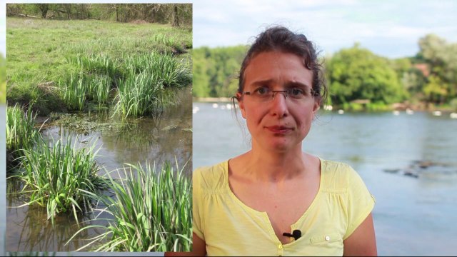 Contrat de rivière Dordogne Atlantique - Préserver les milieux naturels