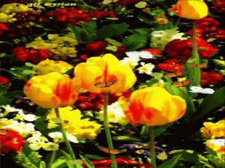 SELDA BAĞCAN--dostum dostum albümü