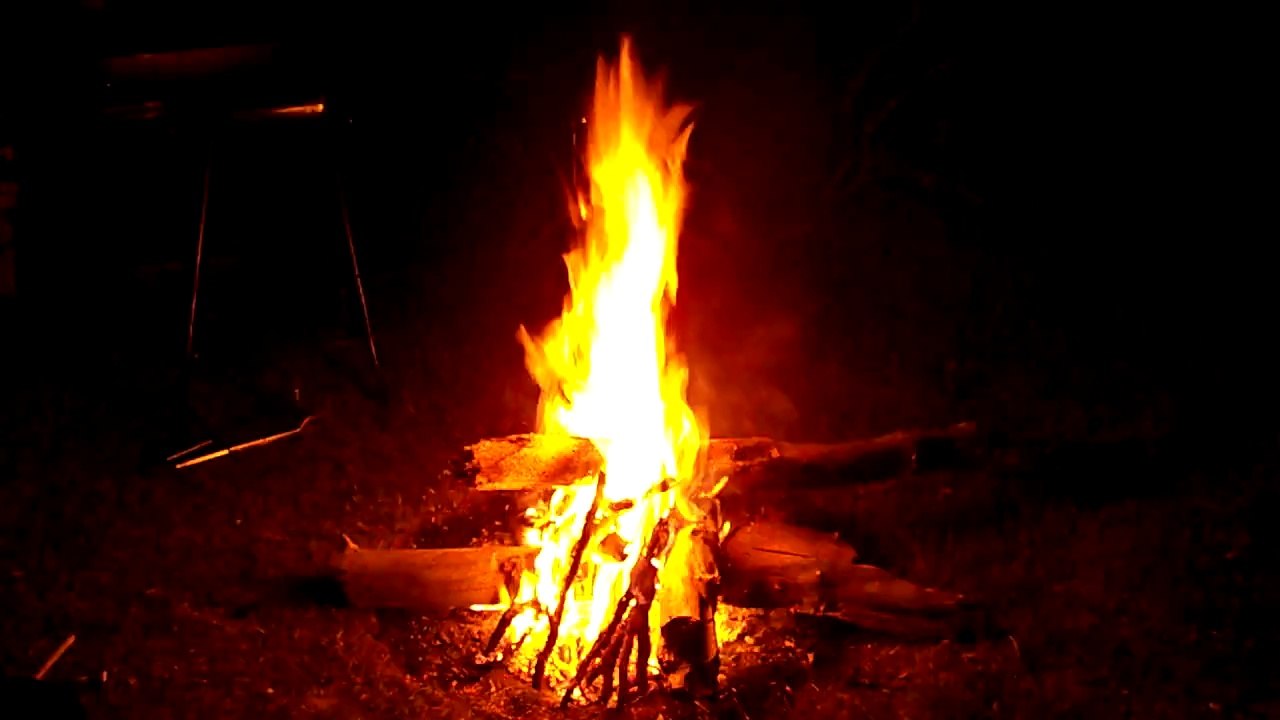 Feu de bois