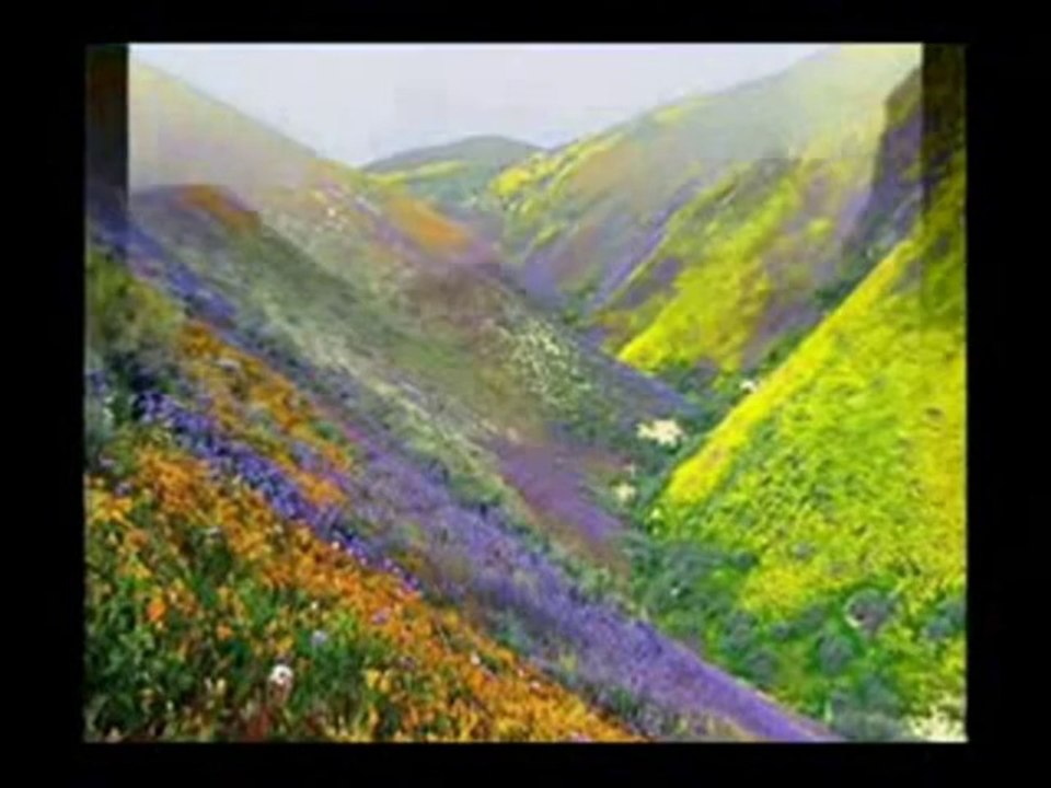 MEVLA GÖRELİM NEYLER HASAN KILIÇATAN Söz:İBRAHİM HAKKI H.Z Müzik:HASAN KILIÇATAN