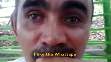 Brazilians take on Whatsapp... Hilarious. Look at the last guy talking. That´s the man