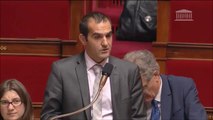 Suppression de la C3S, Intervention de Pouria Amirshahi