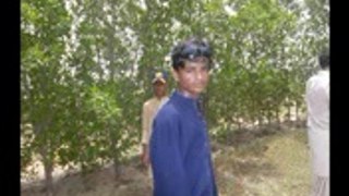 Noor Ahmed Baloch Sargani and his friends enjoying in the village sargani