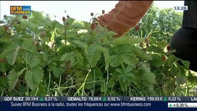 L'insolite du jour: Le potager de l'Abbaye de Royaumont, dans Paris est à vous – 03/07