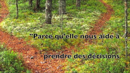 La formation de sciences politiques de l'IPLH vue par une étudiante