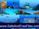 Download Crawler 3D Tropical Aquarium Screensaver 4.2.5.63 Product Key Generator Free