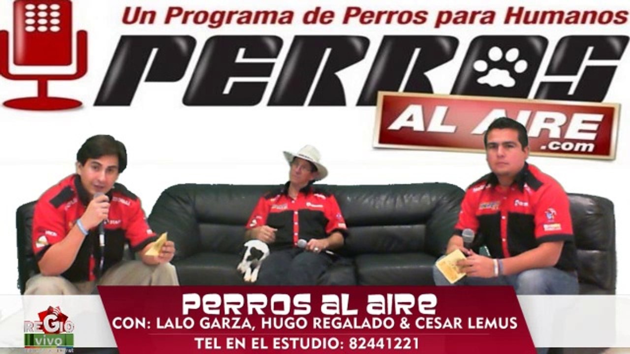 PRIMER PROGRAMA | PAA