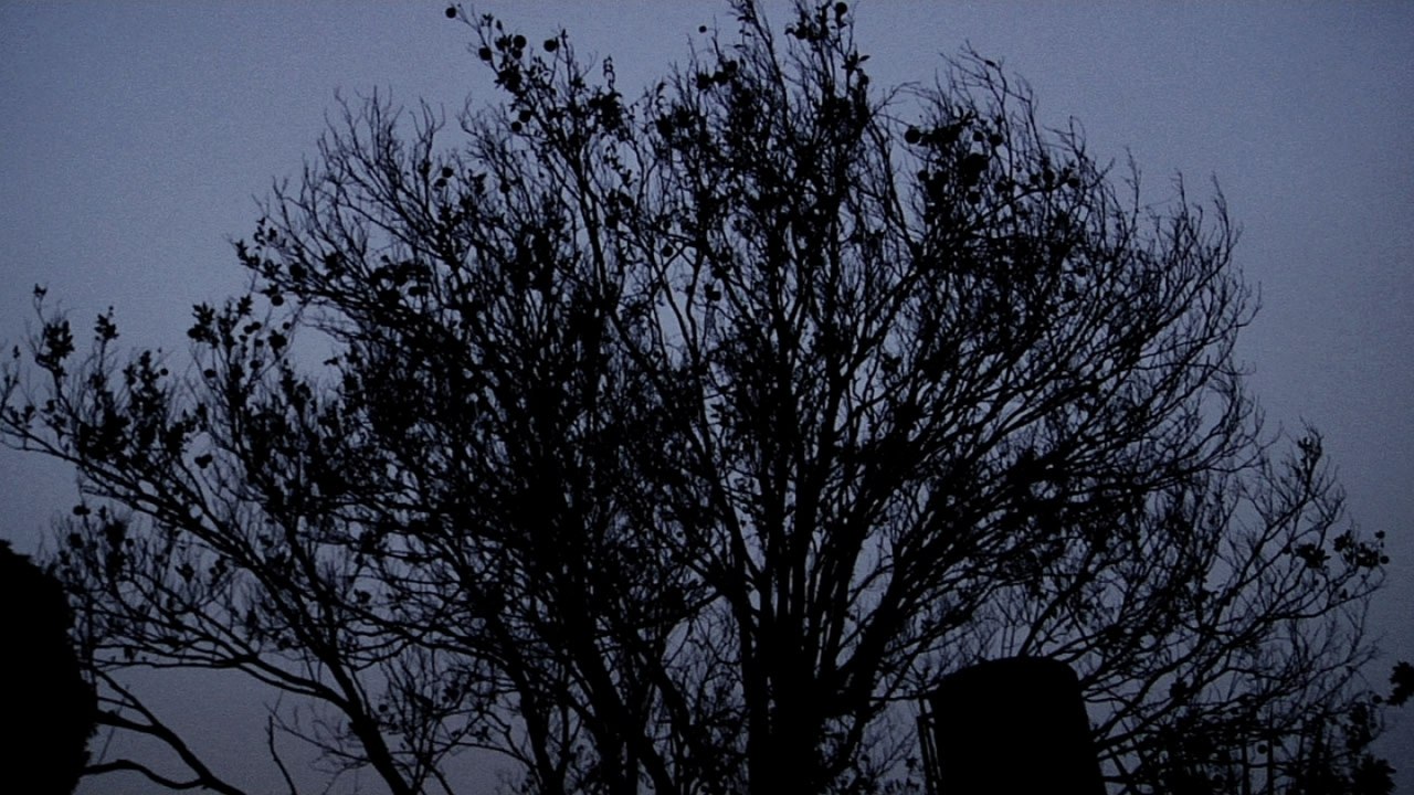 Mallu Magalhaes - Lonely I A Take Away Show