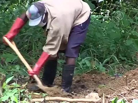 Лихорадка Эбола продолжает распространяться в Африке