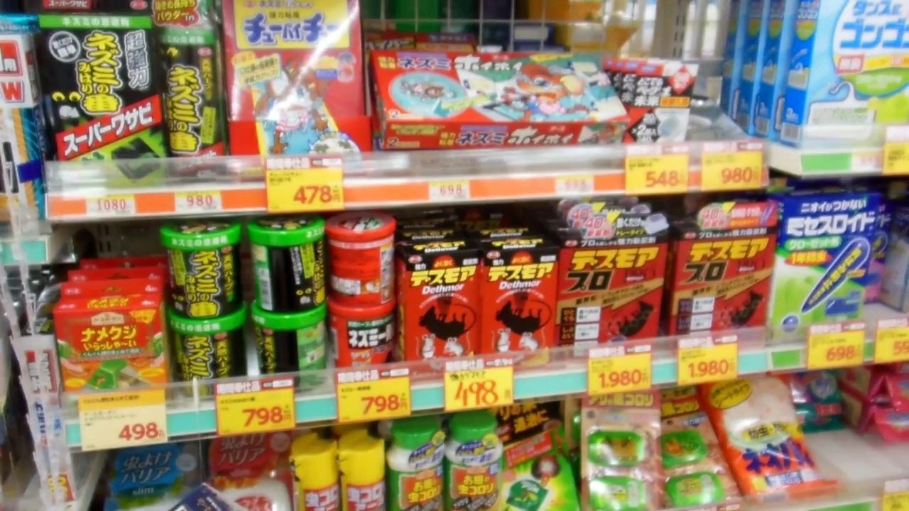 Killing the Cute Things in Japan!!