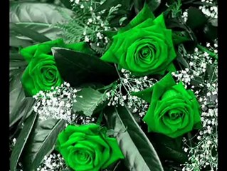 BİRİCİK-BUNCA GÜZEL İÇİNDE BİRİSİ VARKİ