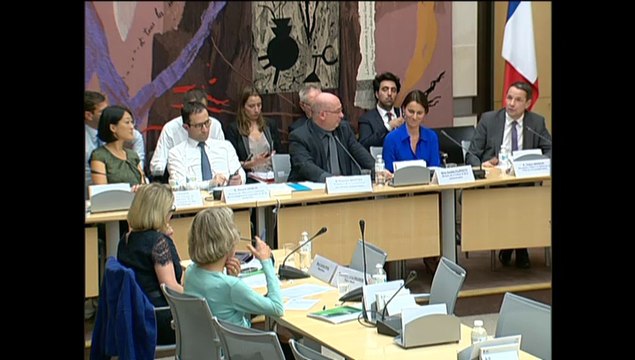 [ARCHIVE] Numérique : audition des ministres par la commission des affaires économiques à l'Assemblée nationale, le 2 juillet 2014