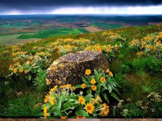 Tájképek 3 ( hang nélkül )