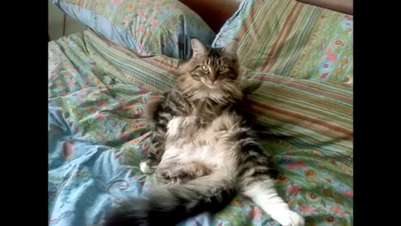 Como Dormir Mejor y Levantarte a tiempo