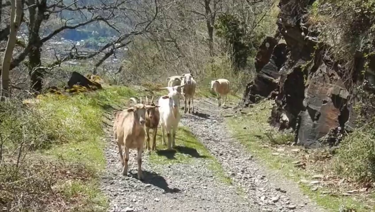 On y va... en haut !