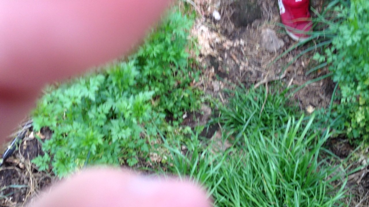 A Clohars-Carnoët, le paysan du futur