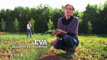 L'Européen d'à côté : Chantier d'insertion à vocation environnementale dans le Marais poitevin