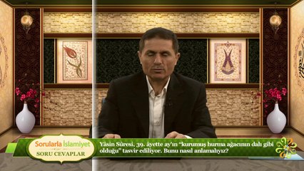 Yasin Sûresi, 39. ayette ay'ın "kurumuş hurma ağacının dalı gibi oldu tasfir ediliyor. Bu nasıl anlamalıyız?