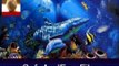 Download Dolphins Underwater Animated Screensaver 4 Serial Code Generator Free