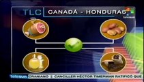 Honduras y Canadá firman TLC pero sus asimetrías son evidentes