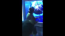 Shark attack on a woman in an aquarium... Best prank ever!