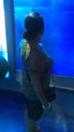 Attaque de requin blanc sur une grand mère dans un aquarium!