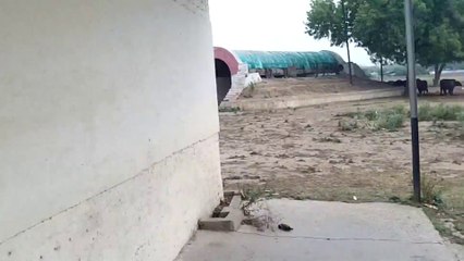 Mysterious haunted house_ ghost caught on tape - Creepy Must See!!