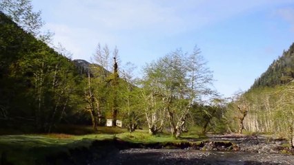 The Enchanted Valley | Olympic National Park, Washington - May 2014