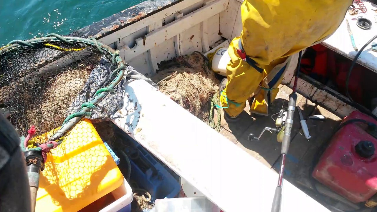 dorade avec une technique secrete