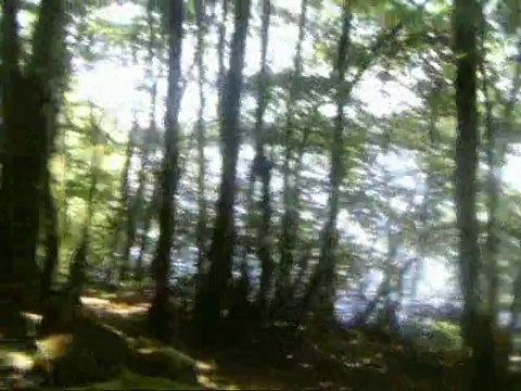 Le Lac de Vassiviere en Limousin (87)
