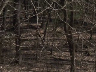 TYPICAL BIGFOOT SIGHTING CAPTURED ON VIDEO