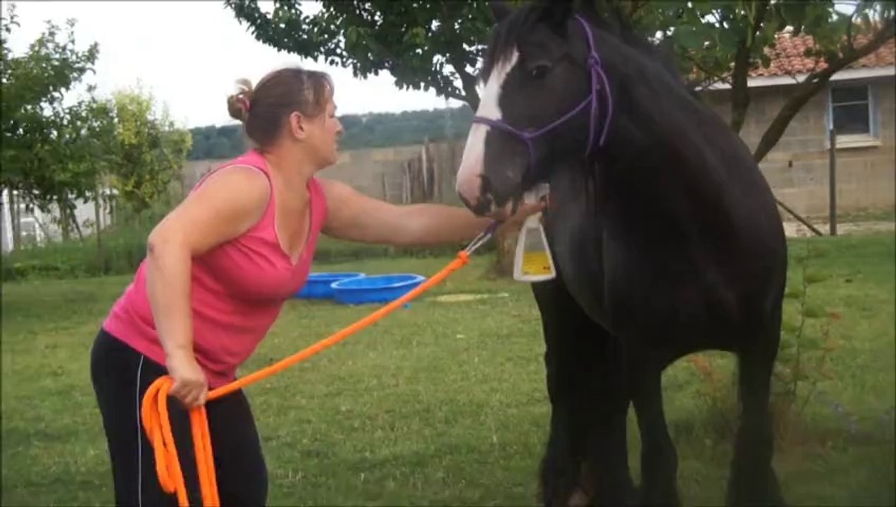 oura belle et jade en selle 1