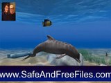 Download Dolphin Aqua Life 3D Screensaver 3.1 Serial Number Generator Free