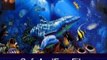 Download Dolphins Underwater Animated Screensaver 4 Serial Number Generator Free