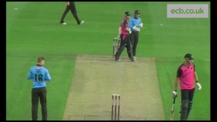 Na "gaivota"! Ave é atingida durante lance numa partida de críquete na Inglaterra