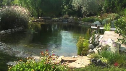 Construire une piscine naturelle Télécharger PDF GRATUIT
