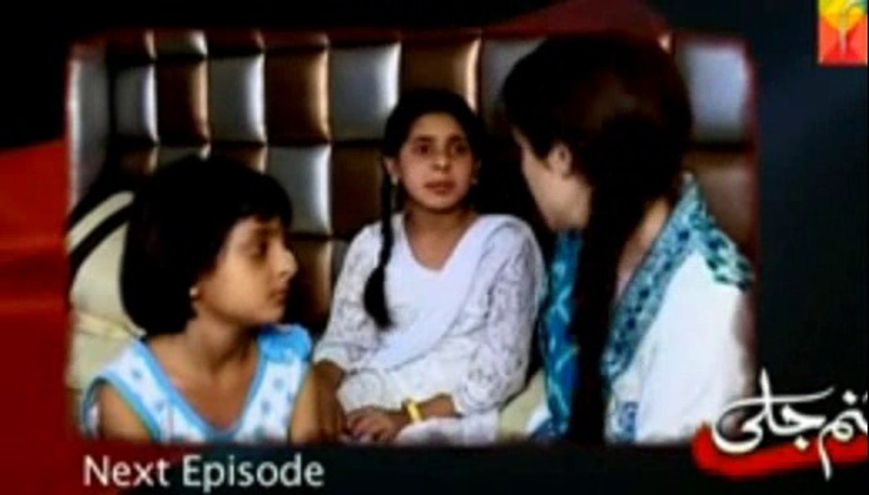 Janam Jali Episode 12 Promo - 3 July Hum Tv