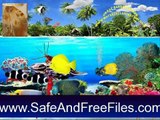 Download Great Barrier Reefs 1.0 Product Key Generator Free