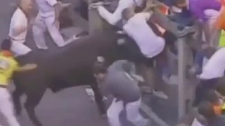 Bulls attack (very funny video)