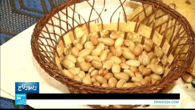 في عمق الحدث المغاربي - زيت الأركان في المغرب: الذهب السائل