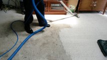 carpet clean north myrtle beach sc 29582 willards cleaning service