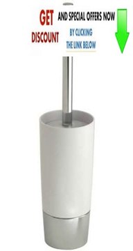 Best Deals InterDesign Duetto Bowl Brush White/Chrome Review