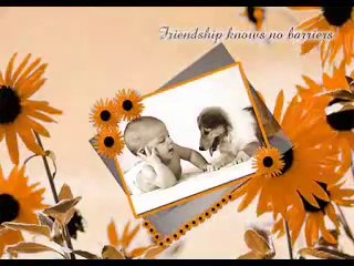 Happy Friendship Day 2014 SMS and Images Video