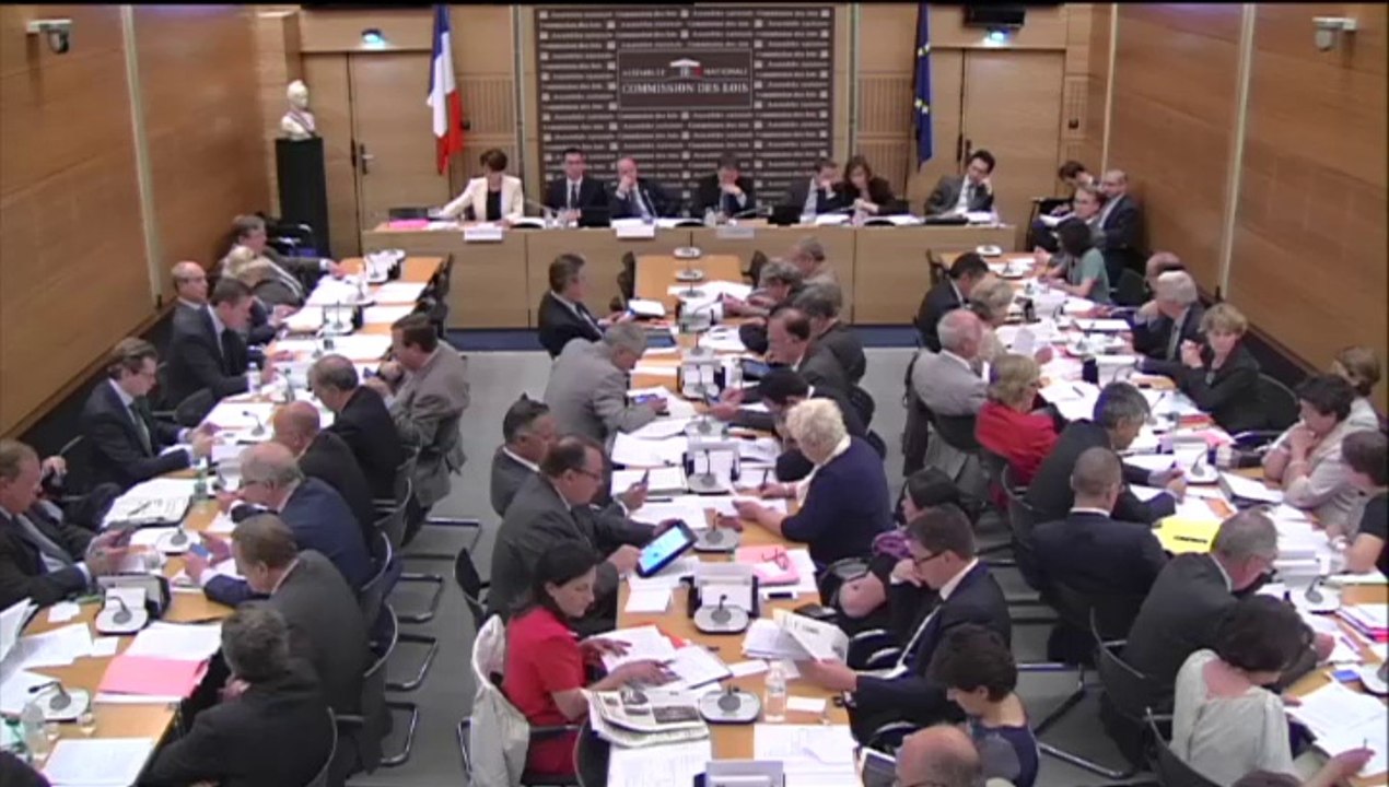 Marietta KARAMANLI Commission les lois  2 juillet 2014 Audition A Hazan